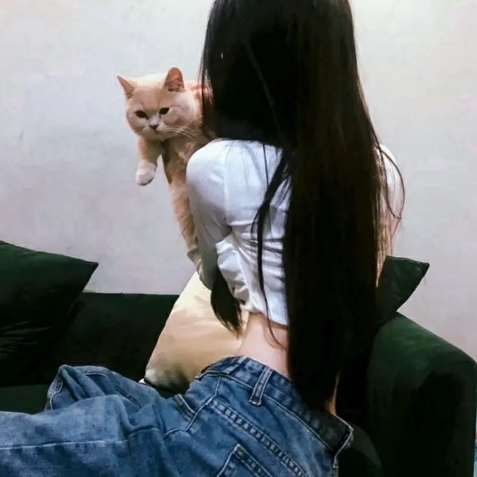 云上情歌